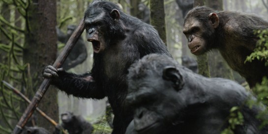 Dawn_of_the_Planet_of_the_Apes_Affrontement_Image_6